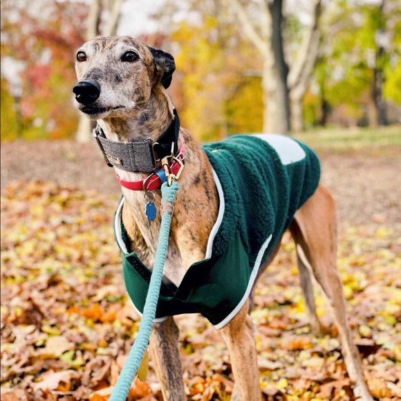 Boots & Barkley Dog New Boots Barkley Dog Green Sherpa Vest Wpocket